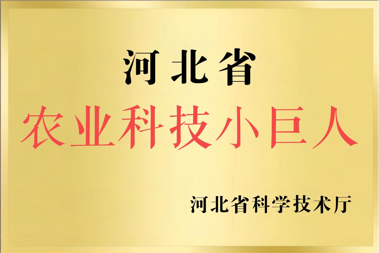 企业资质