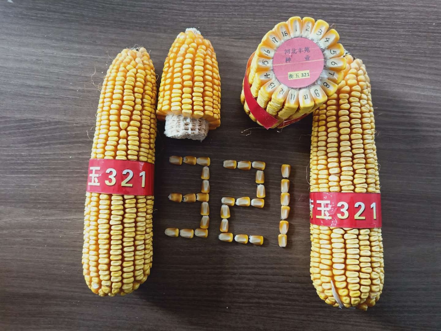 玉米